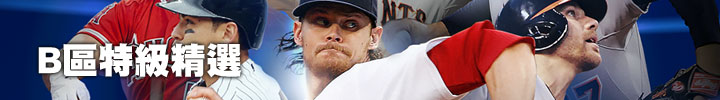 B區特級精選